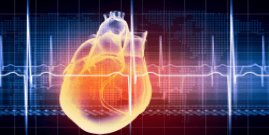 Heart Rate Variability Analysis