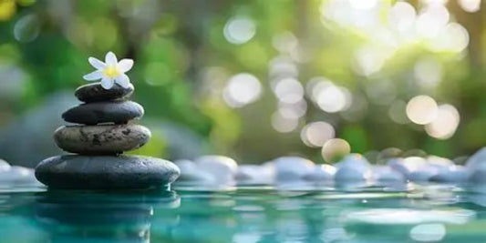 Stress Management Consultation